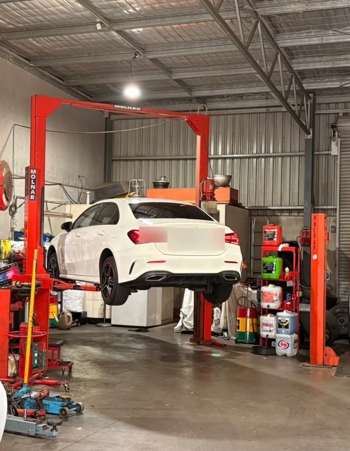 Practical Fleet Care for Growing Businesses